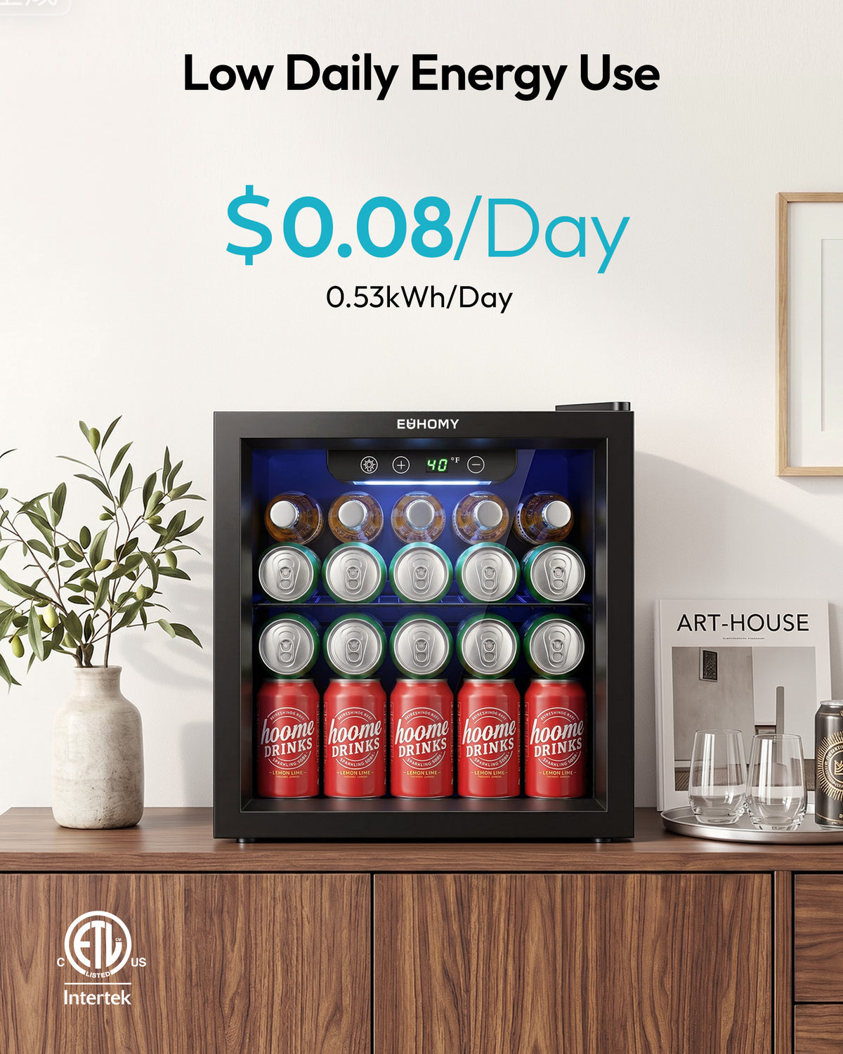 Euhomy Fizz 55 beverage refrigerator, black compact drink cooler, low daily energy use